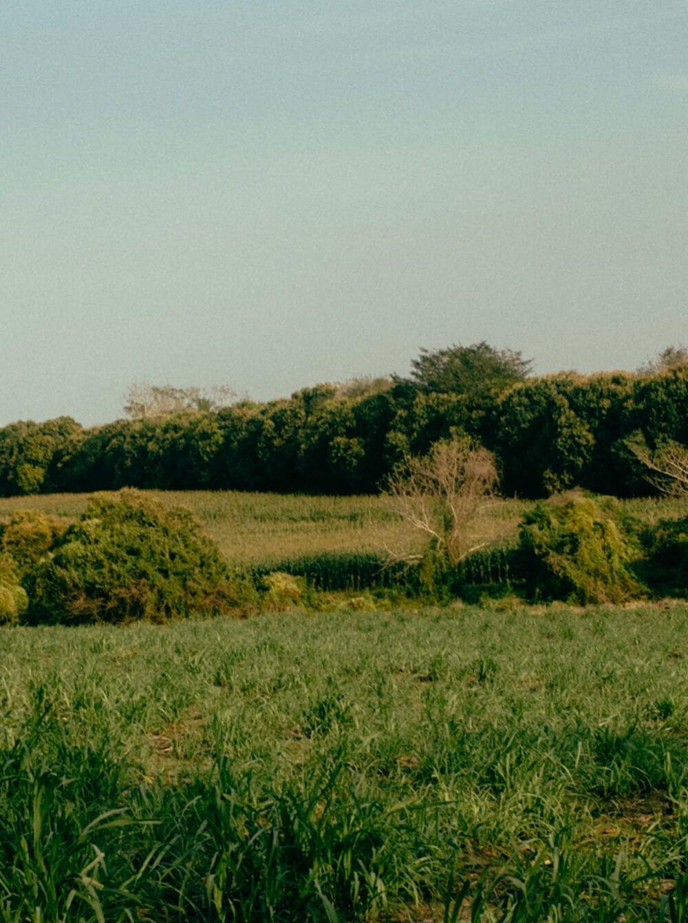 Em — fotografía A