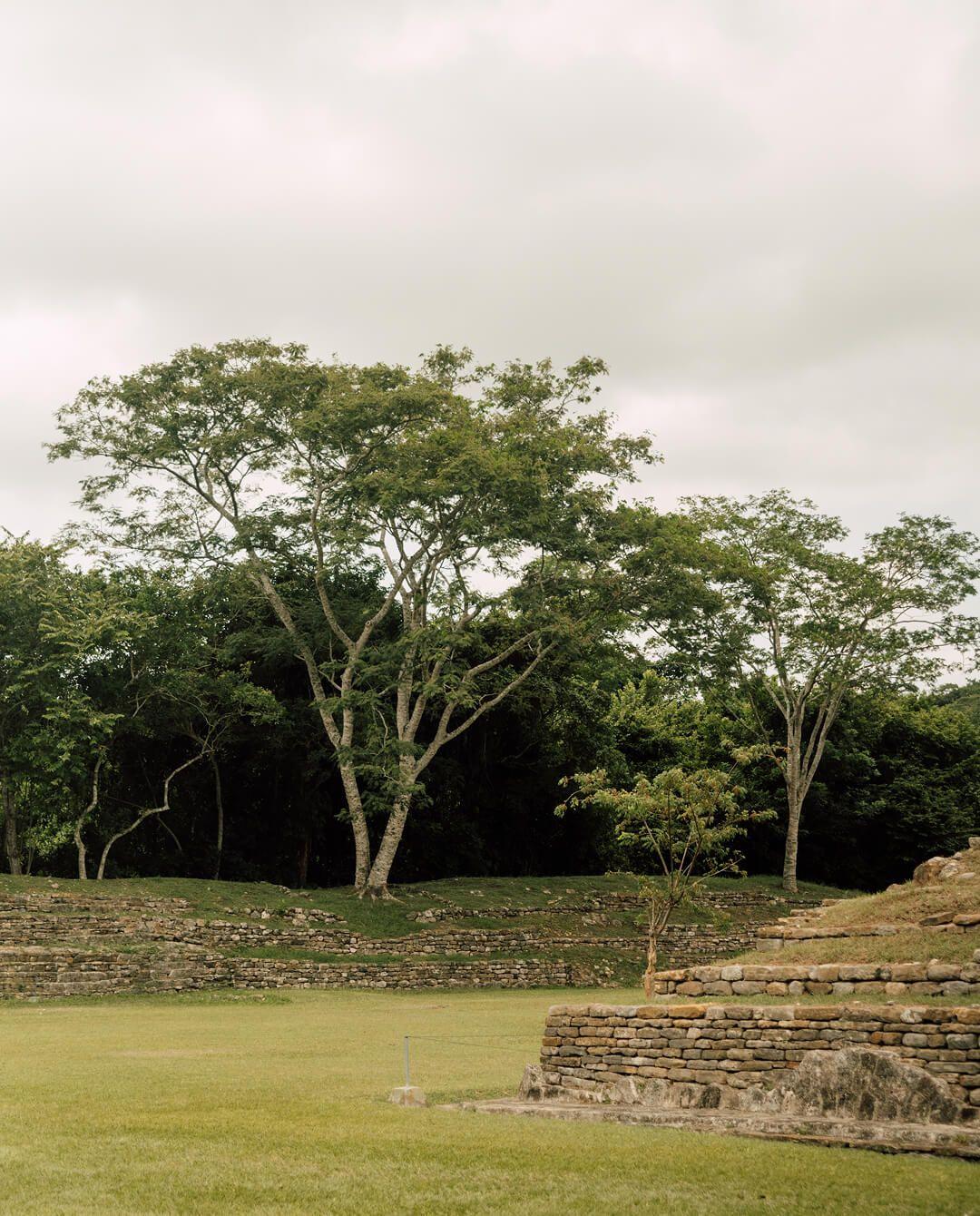 Em — campo 2